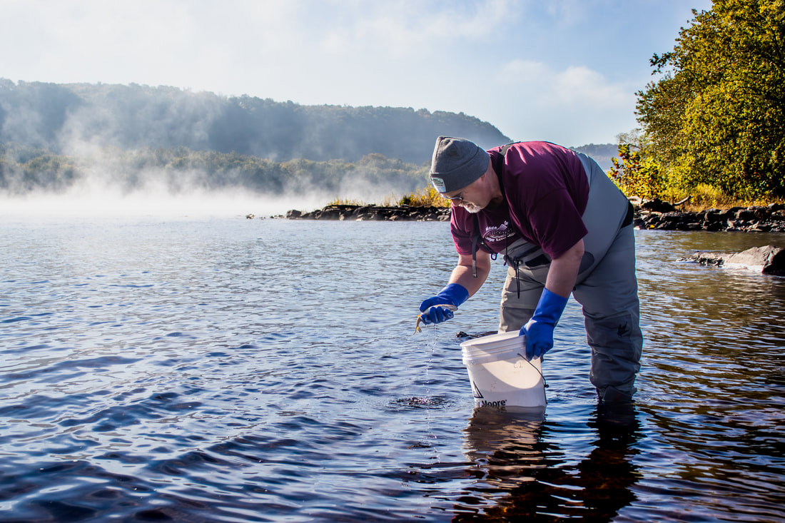 Nearly 600 fish, 22 species captured as part of data collection project